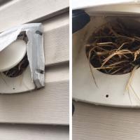 Spring is the season where birds build nests in dryer vents, creating a dangerous situation.