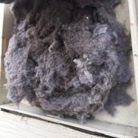 A dryer vent packed with highly flammable lint that is in need of a cleaning.